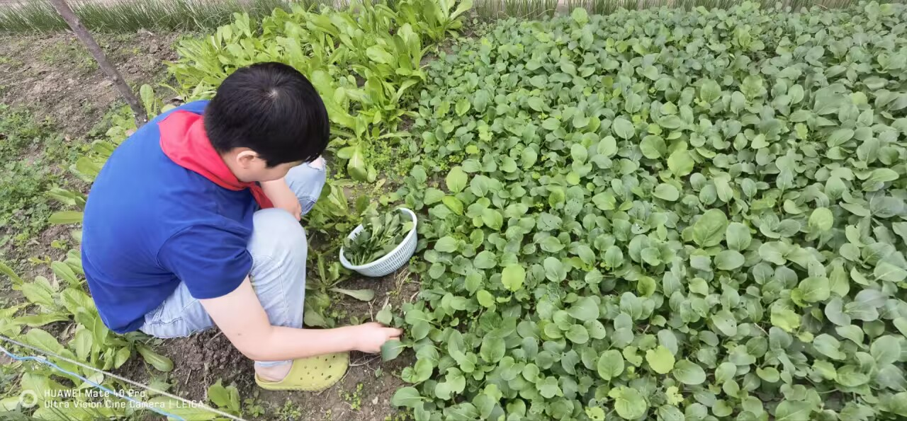 17376ab3d9b447058240064b8116220a.png 17376ab3d9b447058240064b8116220a.png