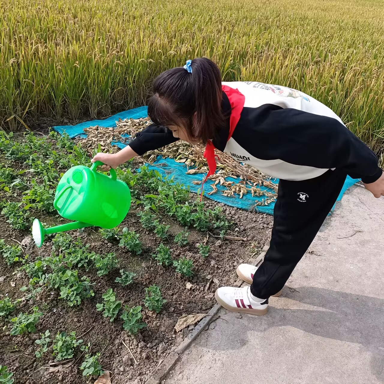 a75924f2014148f7a290d19a85c260aa.png a75924f2014148f7a290d19a85c260aa.png