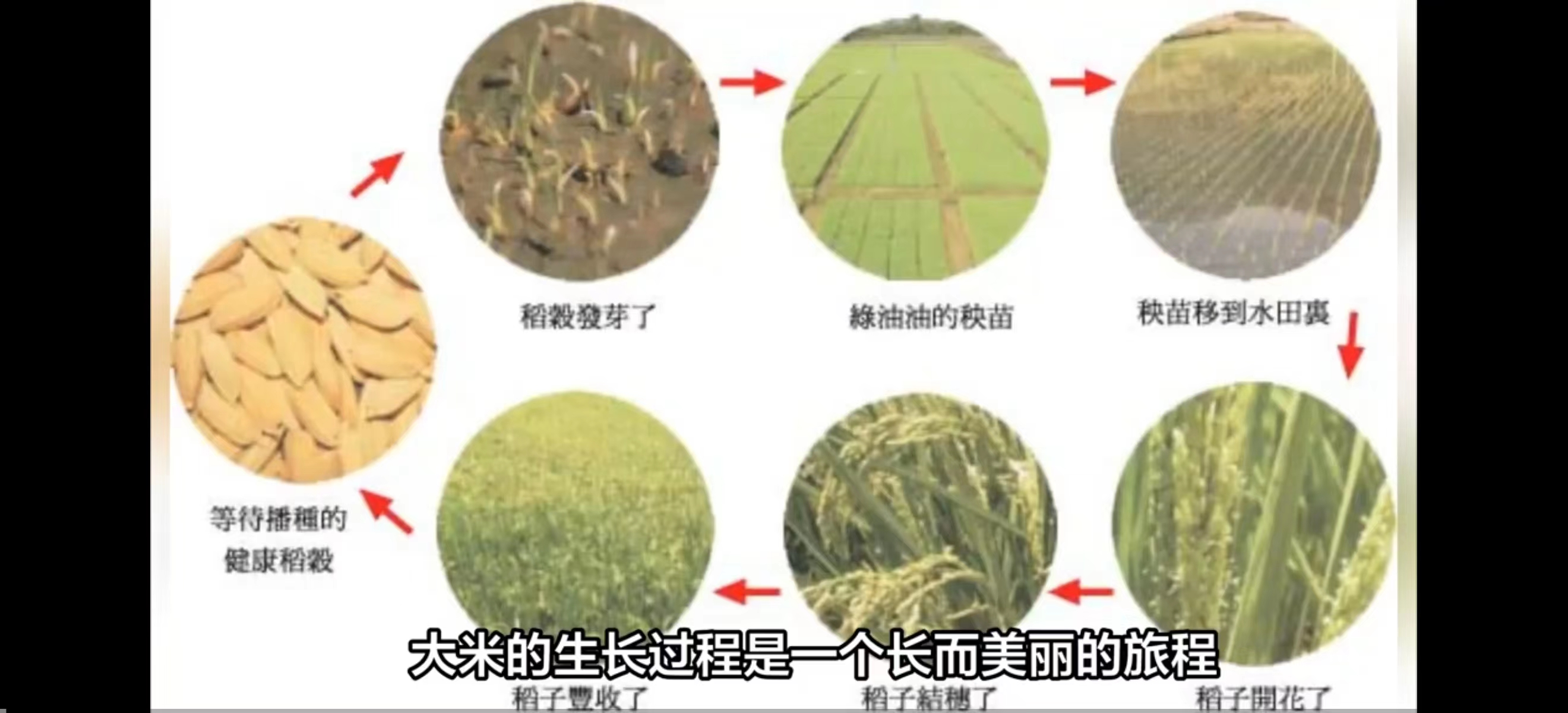 c62d3c625bef4f50aec323a82de0fa20.png c62d3c625bef4f50aec323a82de0fa20.png