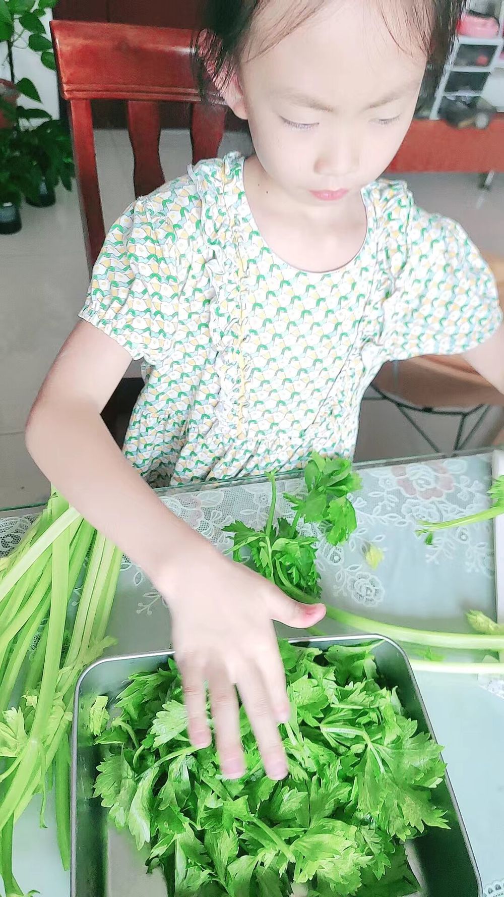 736dfda114504ca98a6158f5129e490e.jpg 736dfda114504ca98a6158f5129e490e.jpg